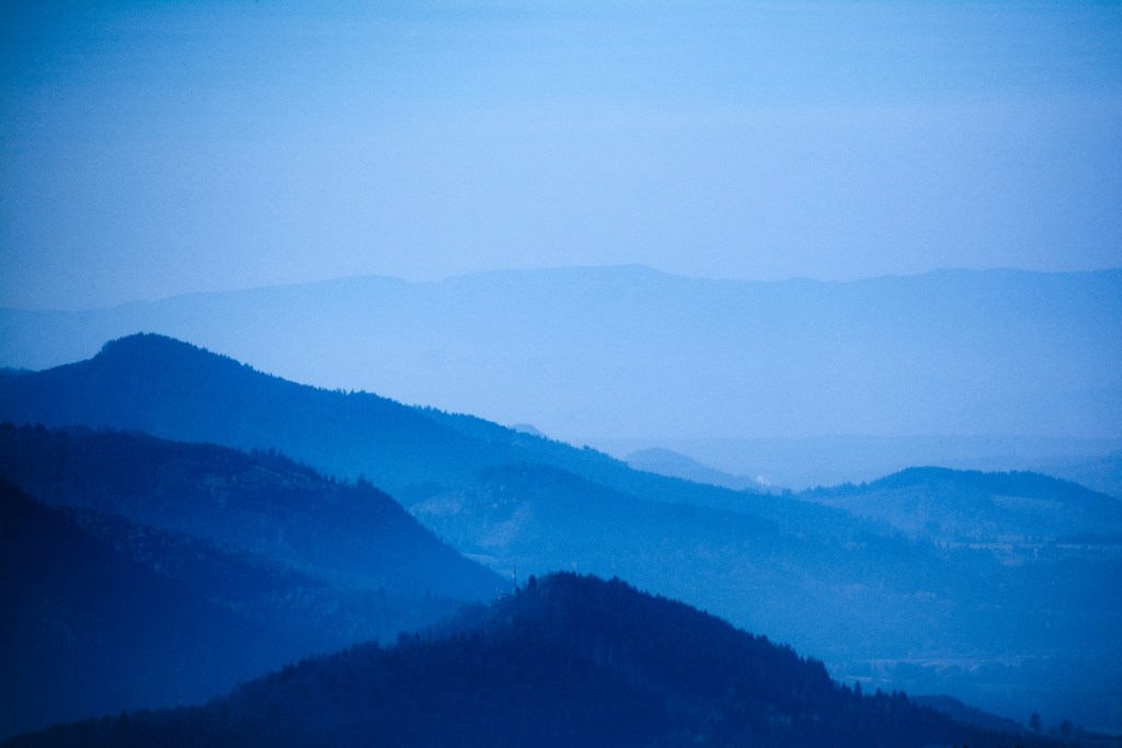 Photo by Jonathan Collins on Unsplash